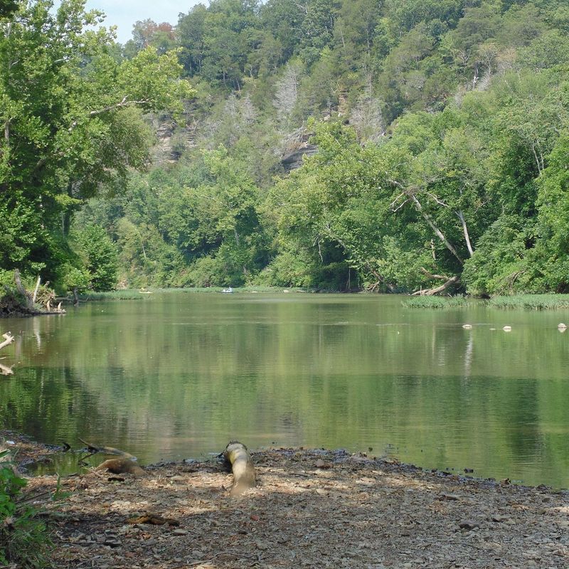 Kingston Springs Kingston Springs