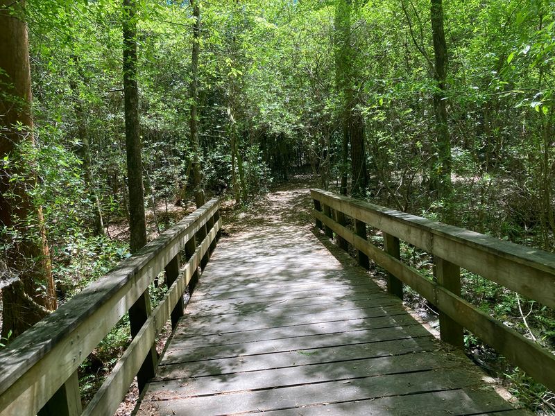 Kirby Nature Trail, Big Thicket National Preserve (Kountze)
