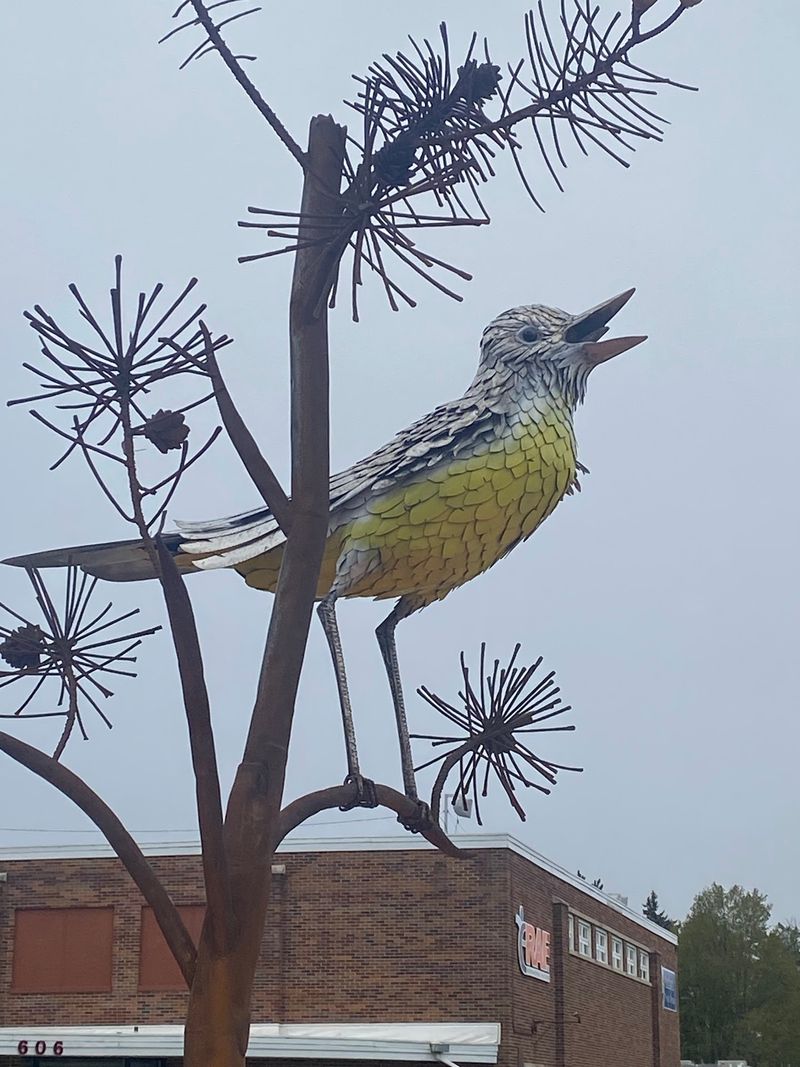 Kirtland’s Warbler (Northern Michigan)