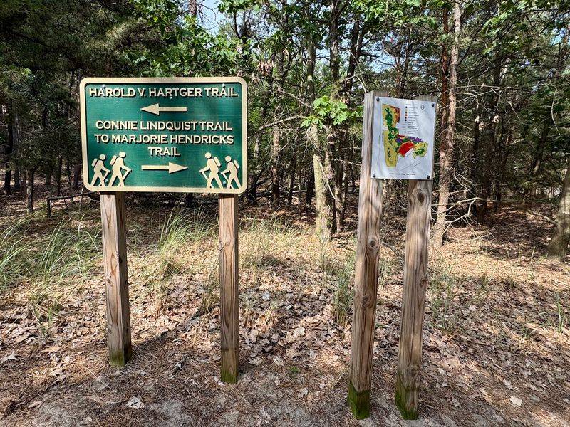 Kitchel Lindquist Dunes Preserve Hike