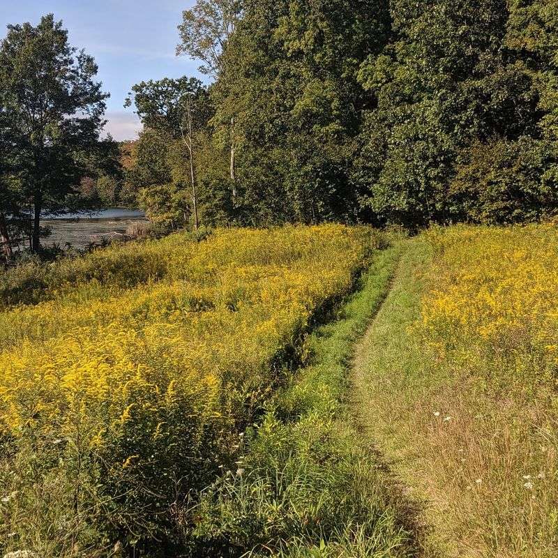 Kittatinny Valley State Park - Andover Kittatinny Valley State Park - Andover