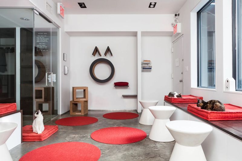 Koneko - 26 Clinton St, New York, NY 10002