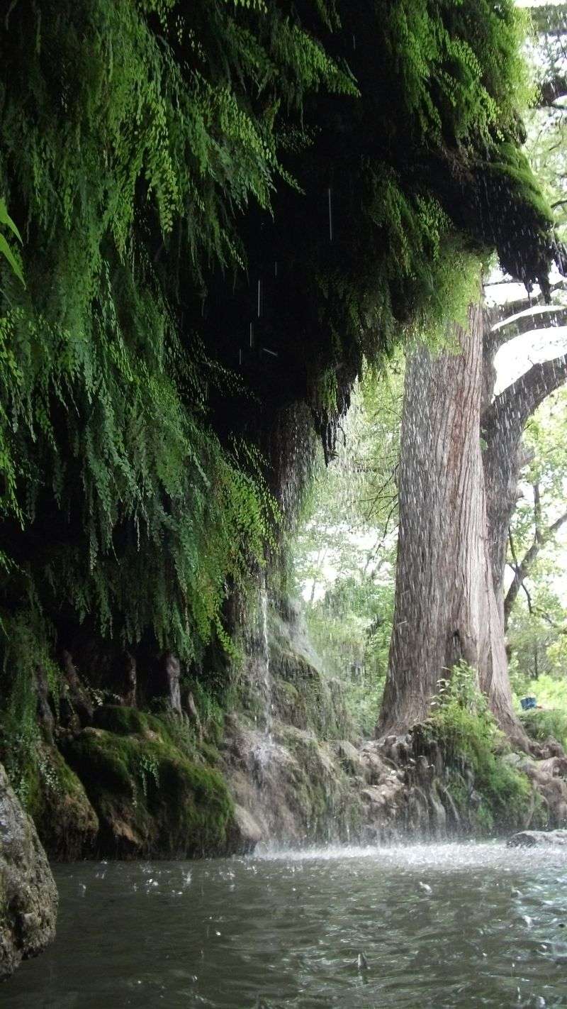 Krause Springs (Spicewood)