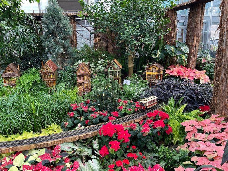Krohn Conservatory (Cincinnati)