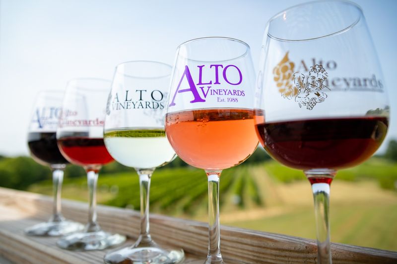 Alto Vineyards (Alto Pass)