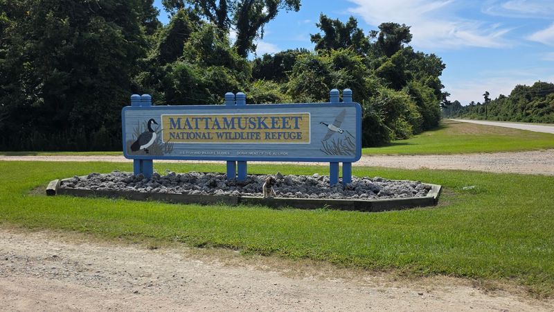Lake Mattamuskeet (Swan Quarter) Lake Mattamuskeet (Swan Quarter)