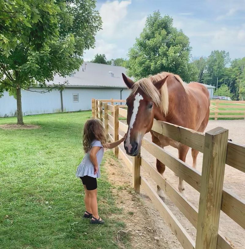 Lake Metroparks Farmpark, Kirtland Lake Metroparks Farmpark, Kirtland