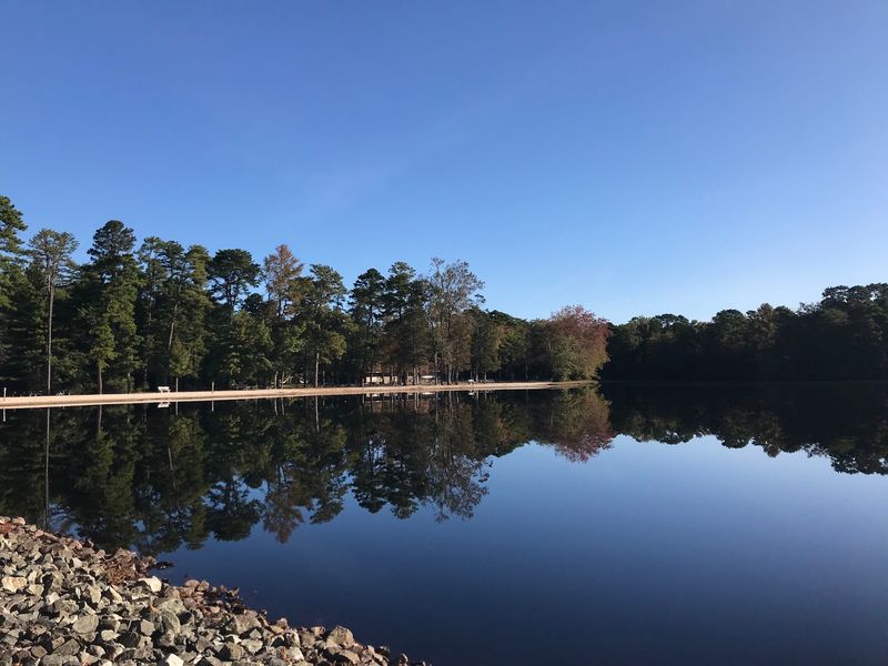 Lake Nummy Loop - Belleplain State Forest