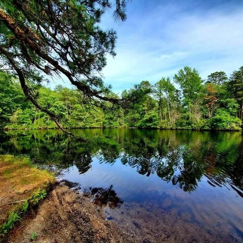 Lake Nummy - Woodbine Lake Nummy - Woodbine