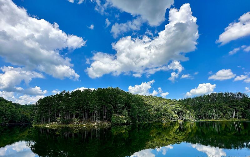 Lake Vesuvius Recreation Area, Pedro