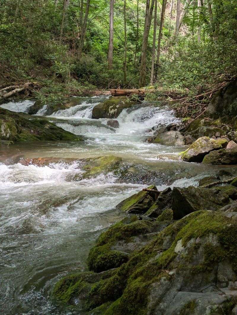 Lamar Alexander Rocky Fork State Park, Flag Pond