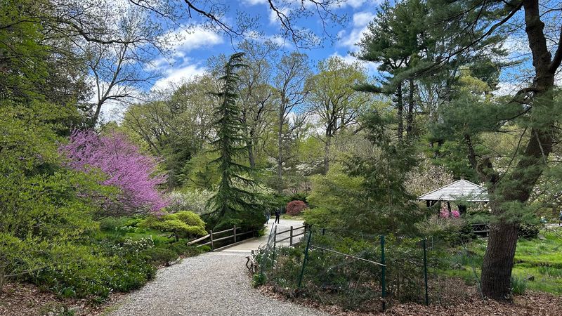 Laurelwood Arboretum - Wayne