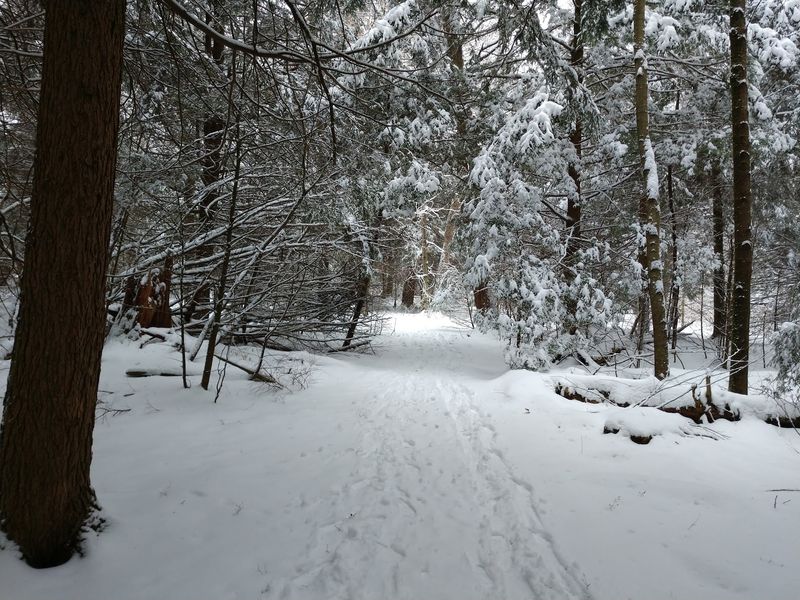 Leave No Trace In A Place Older Than Memory