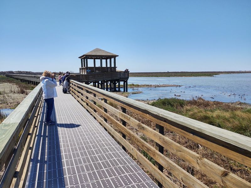 Leonabelle Turnbull Birding Center (Port Aransas) Leonabelle Turnbull Birding Center (Port Aransas)
