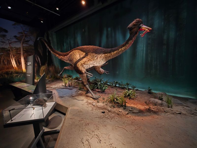 Life-Sized Creatures Bring Ancient New Jersey Back to Life Life-Sized Creatures Bring Ancient New Jersey Back to Life