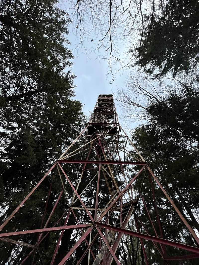 Little Flat Fire Tower