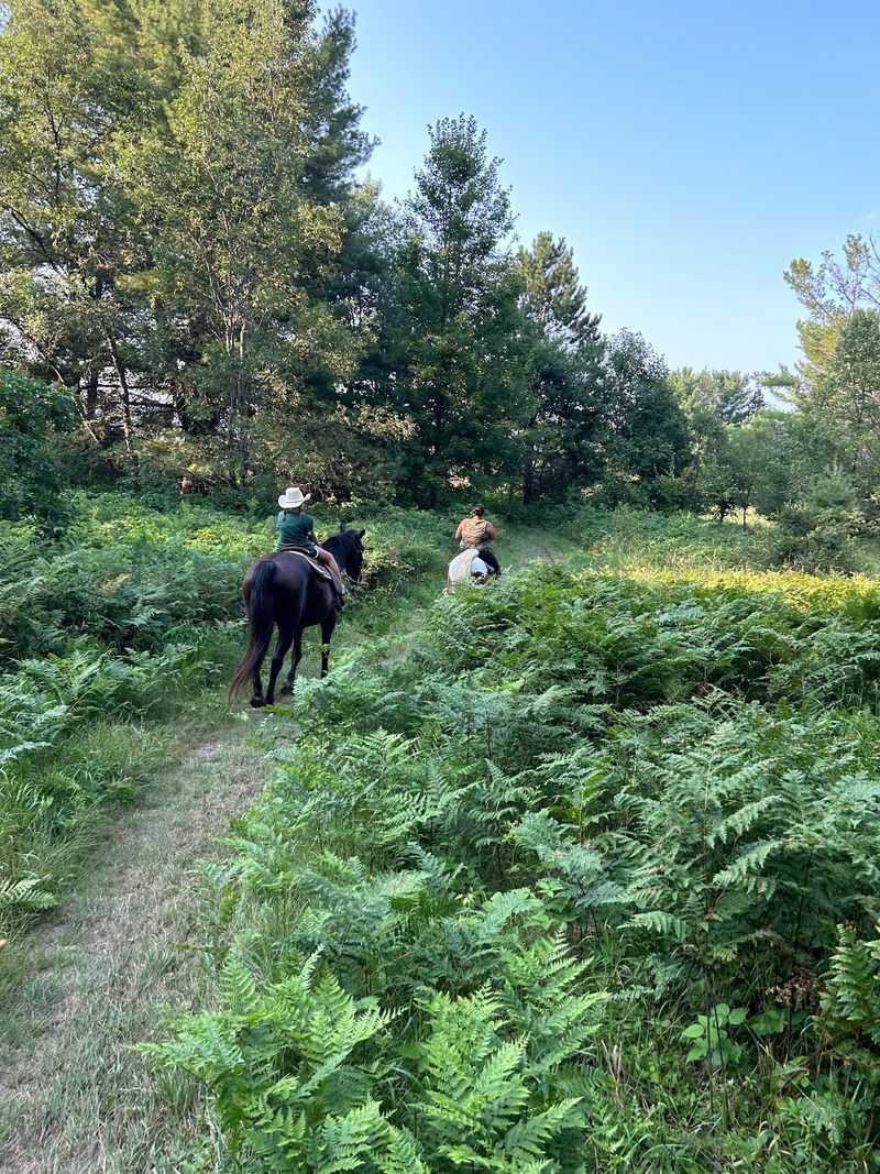 Little Trail Extras That Keep the Ride Lively