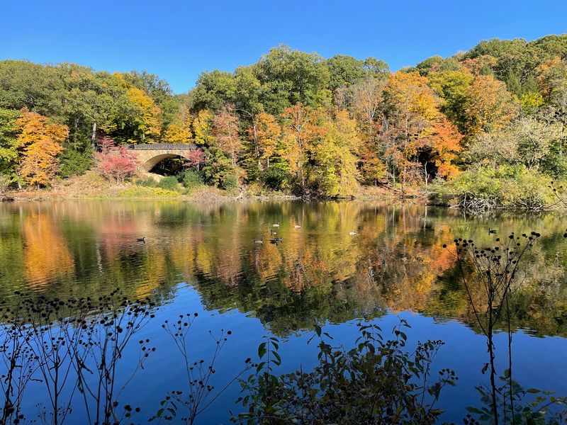 Local History Gives the Bridge Extra Charm