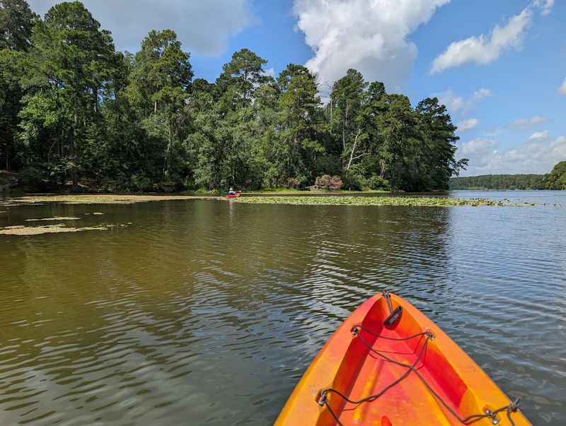 Local Insider Knowledge Maximizes Your Park Experience