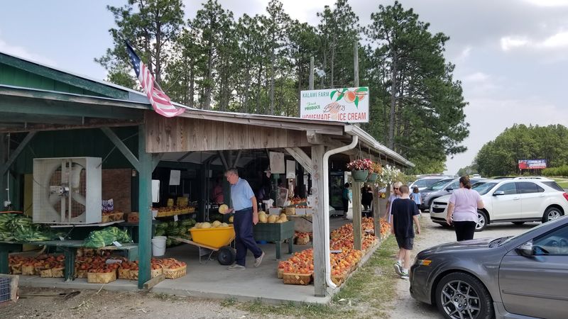 Locals and Travelers Keep Recommending It