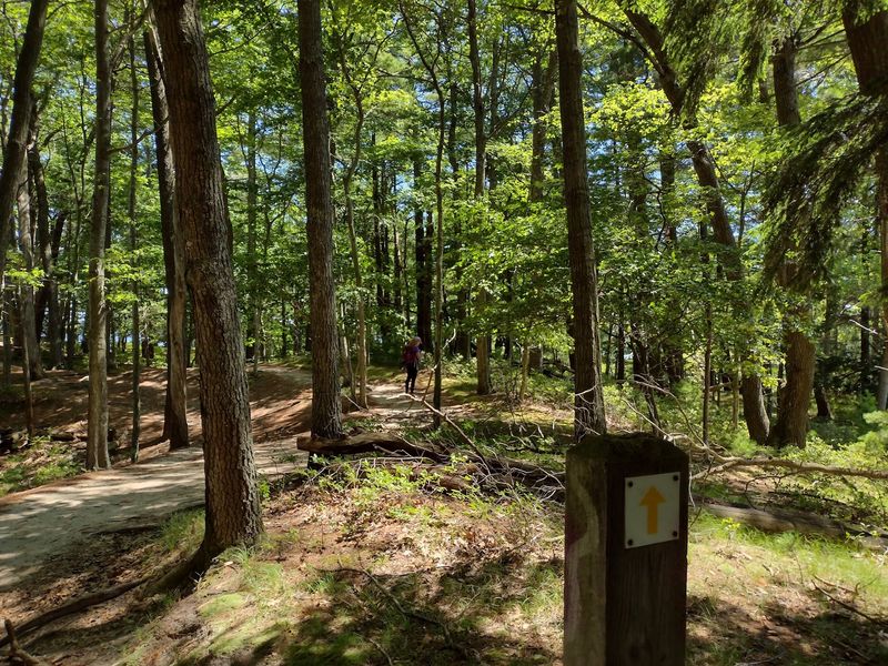 Ludington State Park - Mason County Ludington State Park - Mason County
