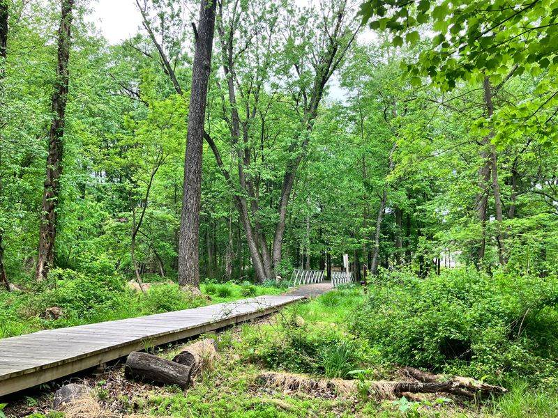 Luisi’s Trail at Fanwood Nature Center - Fanwood