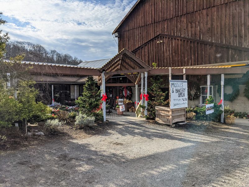 Mackey's Orchard Mackey's Orchard