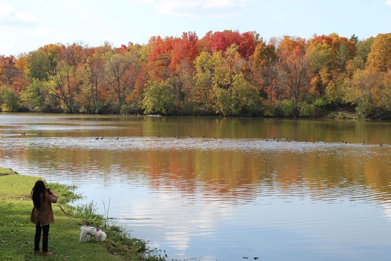 Madison Lake State Park, London