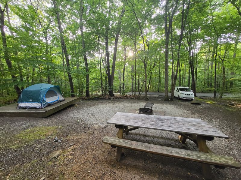 Mahlon Dickerson Campgrounds Mahlon Dickerson Campgrounds