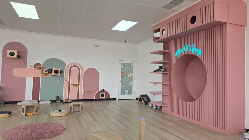 Malu Cat Cafe — Garden City Malu Cat Cafe — Garden City