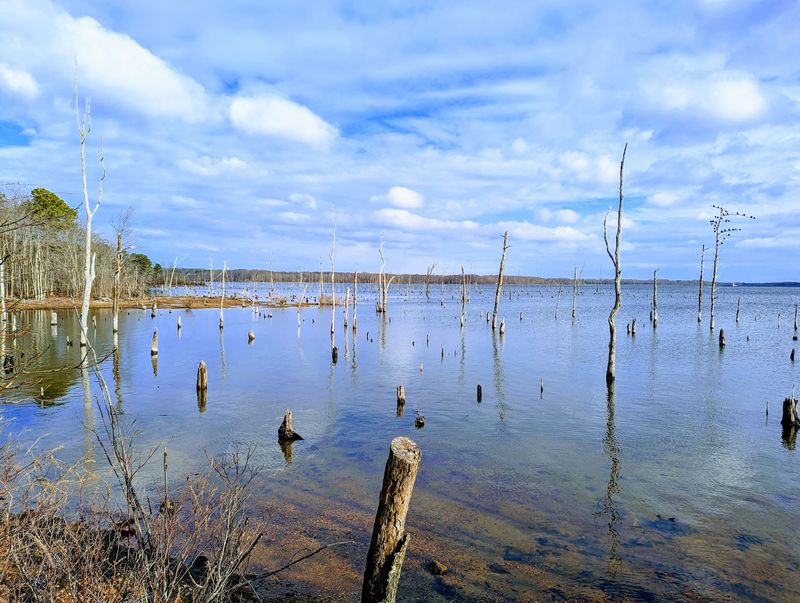 Manasquan Reservoir - Howell Manasquan Reservoir - Howell