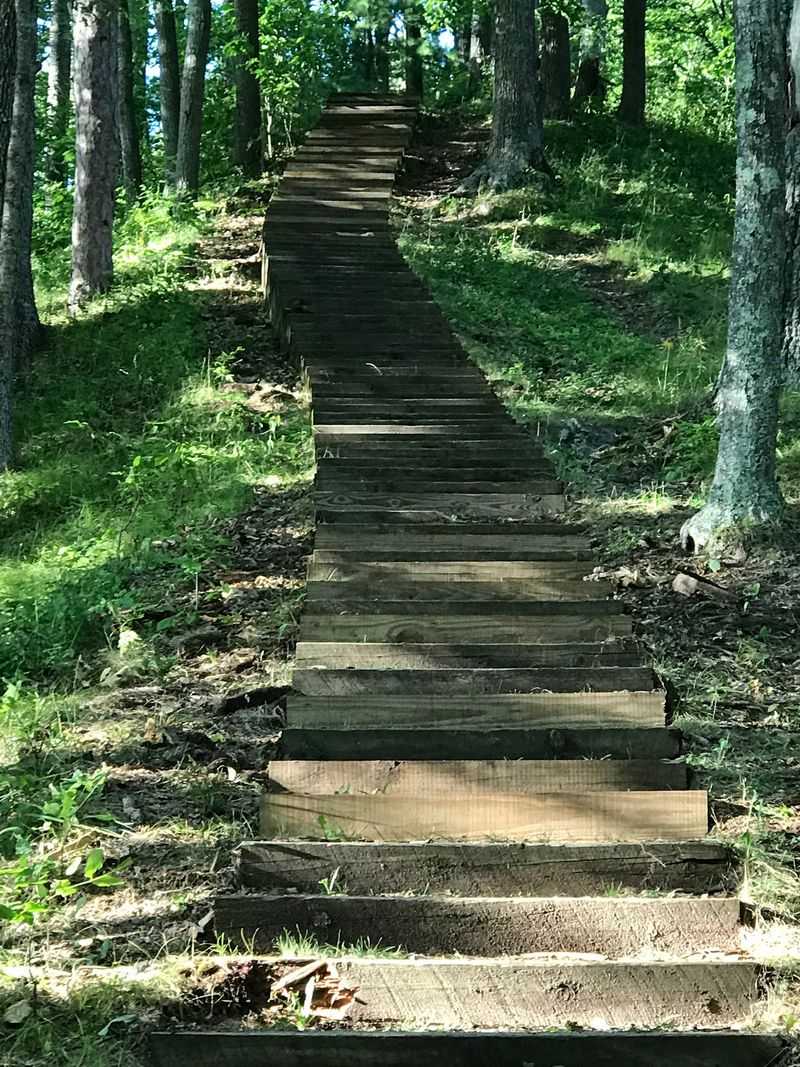 Manistee River Trail-North Country Trail Loop