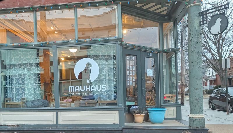 Maplewood Charm Helps Make Mauhaus One of a Kind