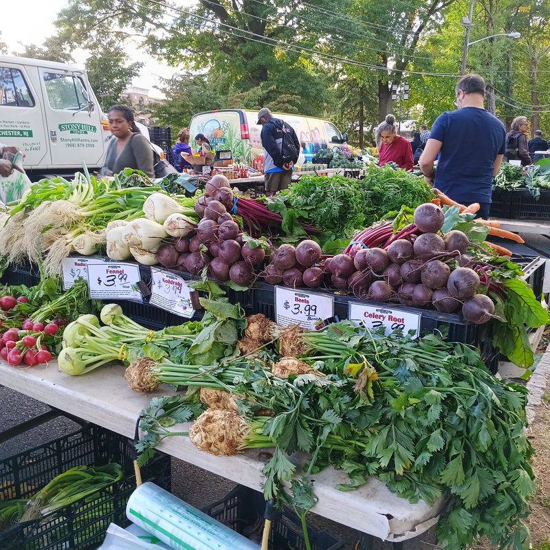 Maplewood Farmers Market - Maplewood
