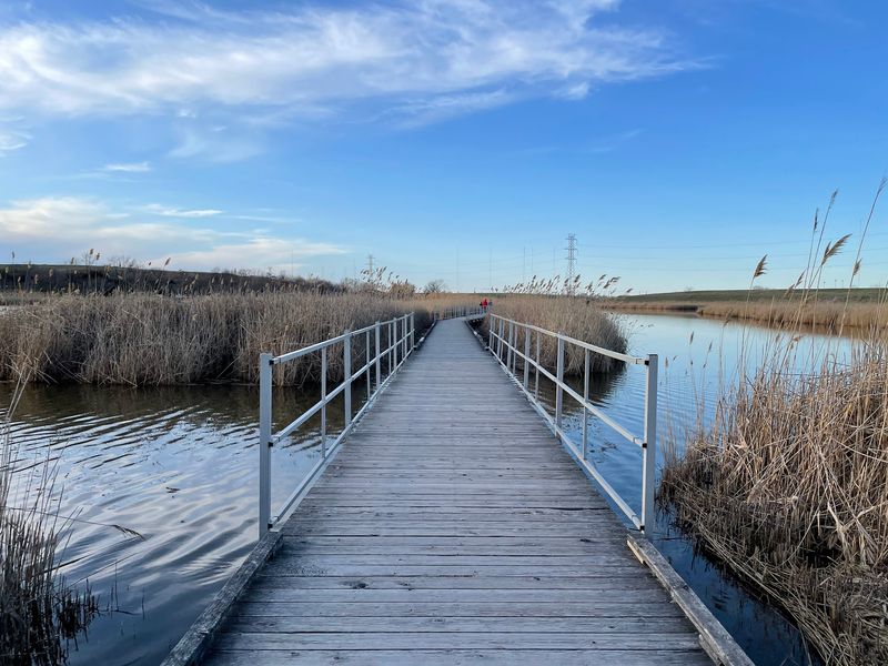 Marsh Discovery Trail at Richard W. DeKorte Park - Lyndhurst