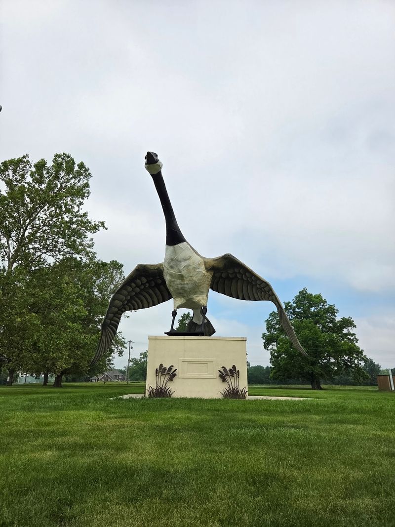 Maxie The World’s Largest Goose Maxie The World’s Largest Goose