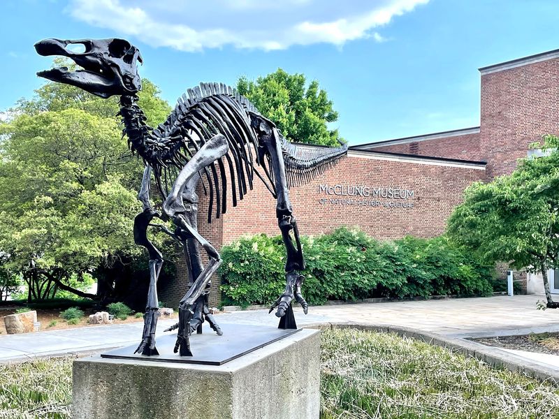 McClung Museum of Natural History & Culture, Knoxville McClung Museum of Natural History & Culture, Knoxville