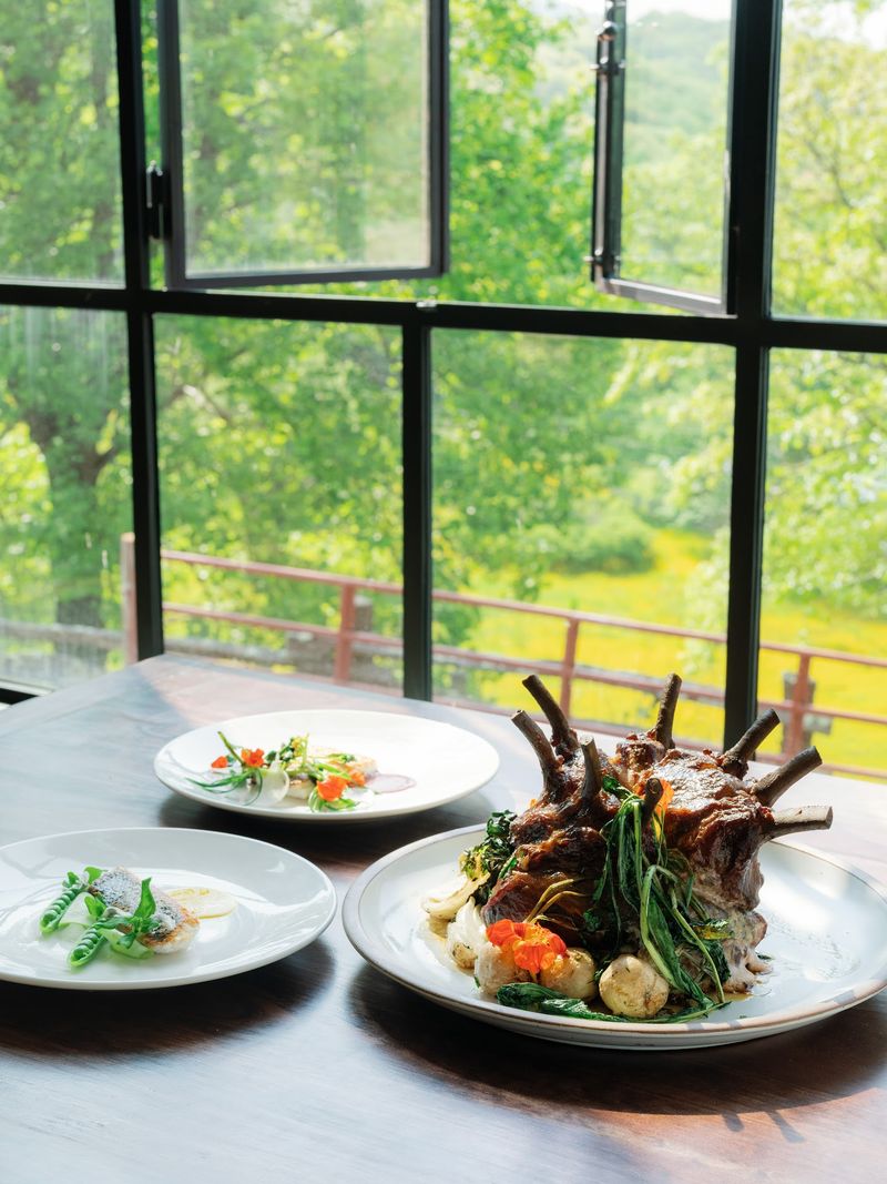 Meals Worth Lingering Over