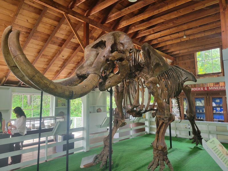 Meet Monroe’s Remarkable Mastodon Meet Monroe’s Remarkable Mastodon