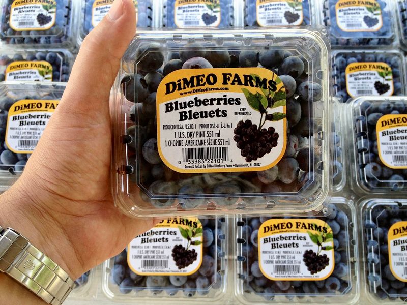 Meet the Family Farm Behind Hammonton’s Blueberry Tradition