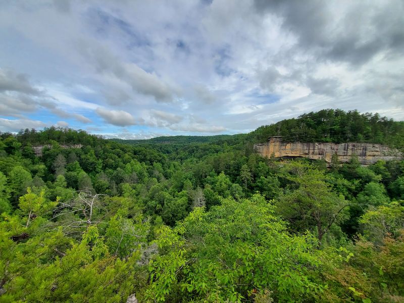 Meet the Hidden Canyon Wonderland Most Tennessee Travelers Miss