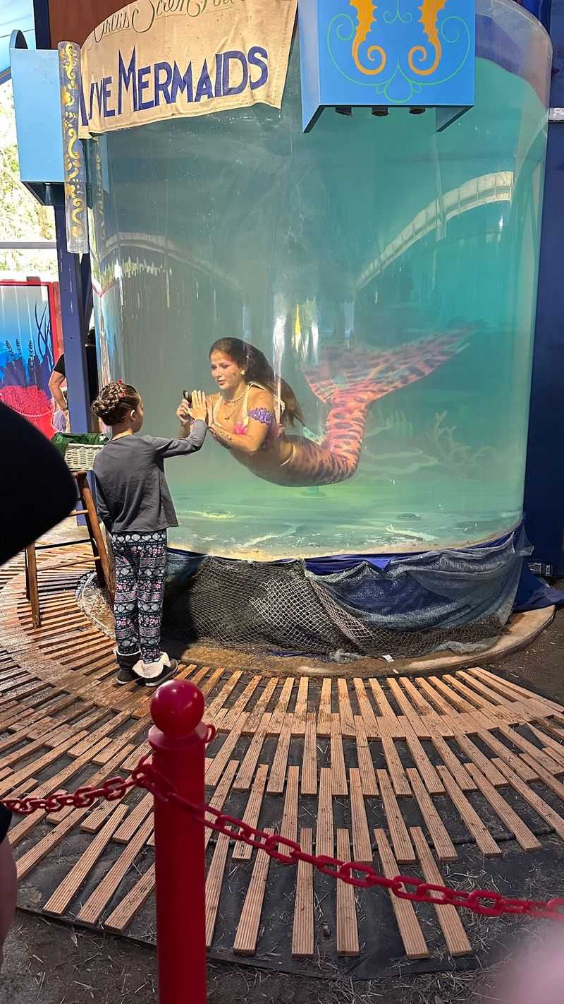 Mermaids, Falcons, and Fantasy Creatures Add Wonder Mermaids, Falcons, and Fantasy Creatures Add Wonder