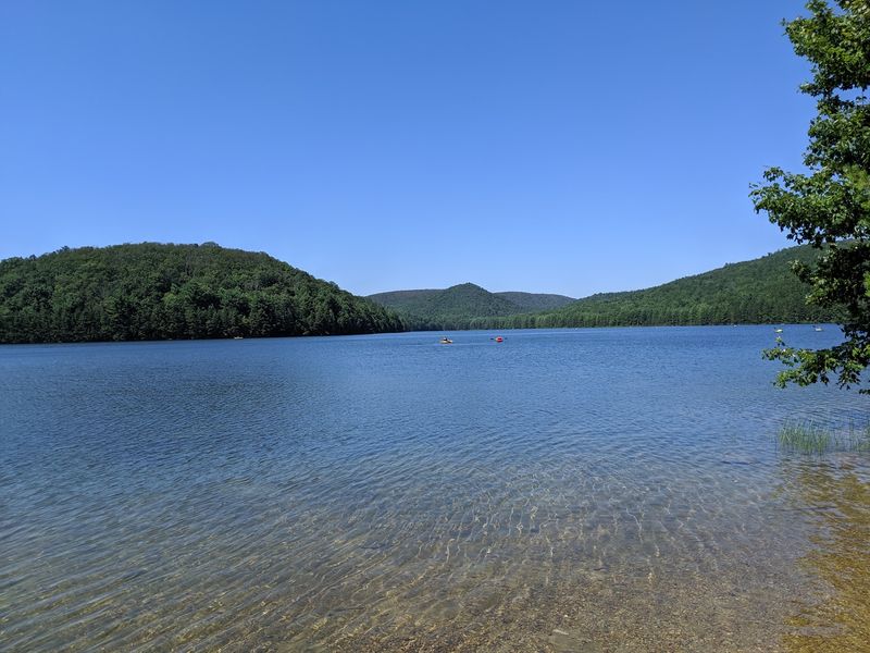 Michaux State Forest Michaux State Forest