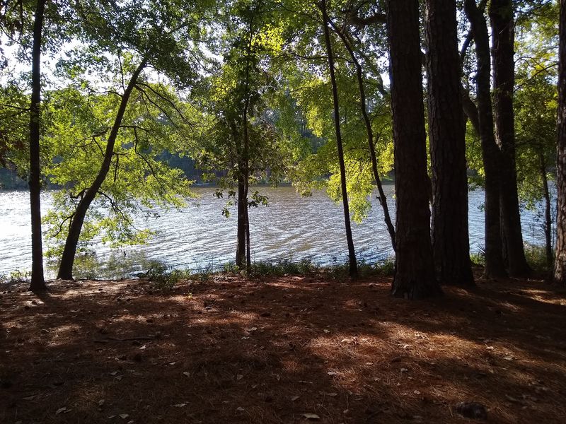 Miles of Shaded Trails Wind Through Authentic East Texas Pine Forest