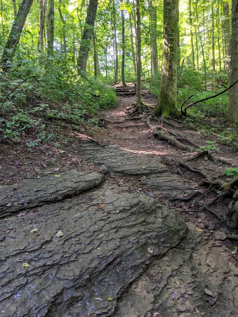Miles of Trails Made for Wandering Miles of Trails Made for Wandering