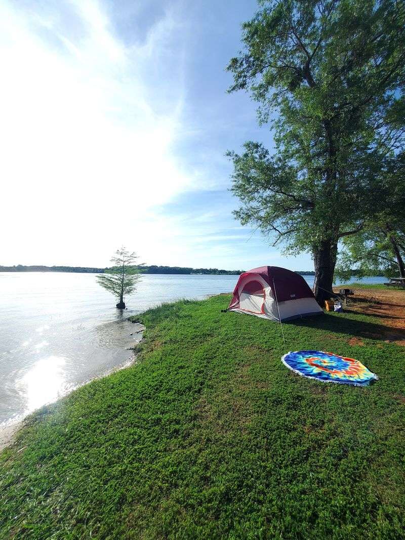 Mineola (Lake Holbrook) Mineola (Lake Holbrook)