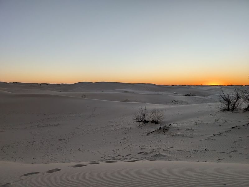 Monahans Sandhills (West Texas) Monahans Sandhills (West Texas)