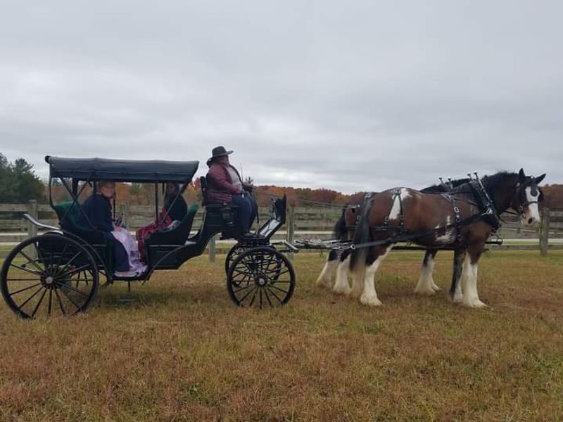 More to See and Enjoy Around the Farm