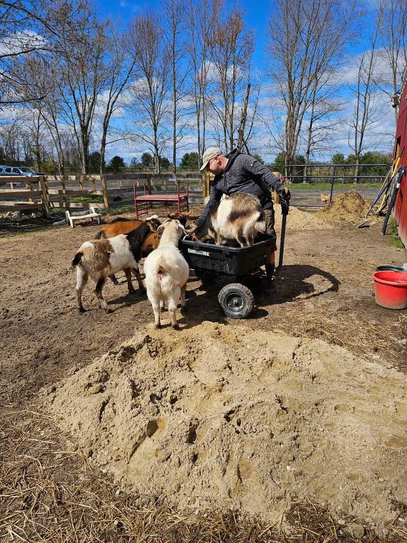 Muddy Paws Farm Rescue - Southampton Muddy Paws Farm Rescue - Southampton