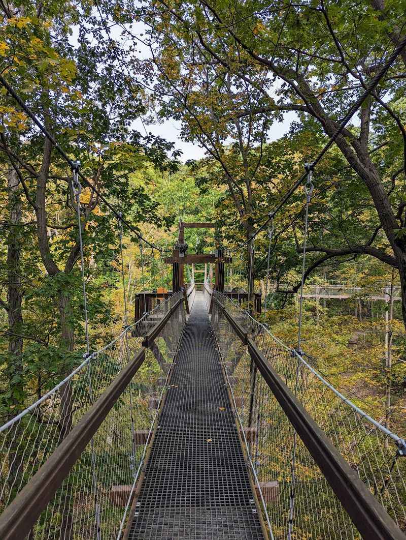 Murch Canopy Walk At Holden Arboretum, Kirtland